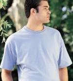 Hanes heavyweight T-shirt at wholesales prices