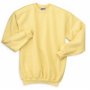 Hanes 50/50 Sweatshirt