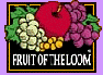 Fruit of the Loom sweatshirts